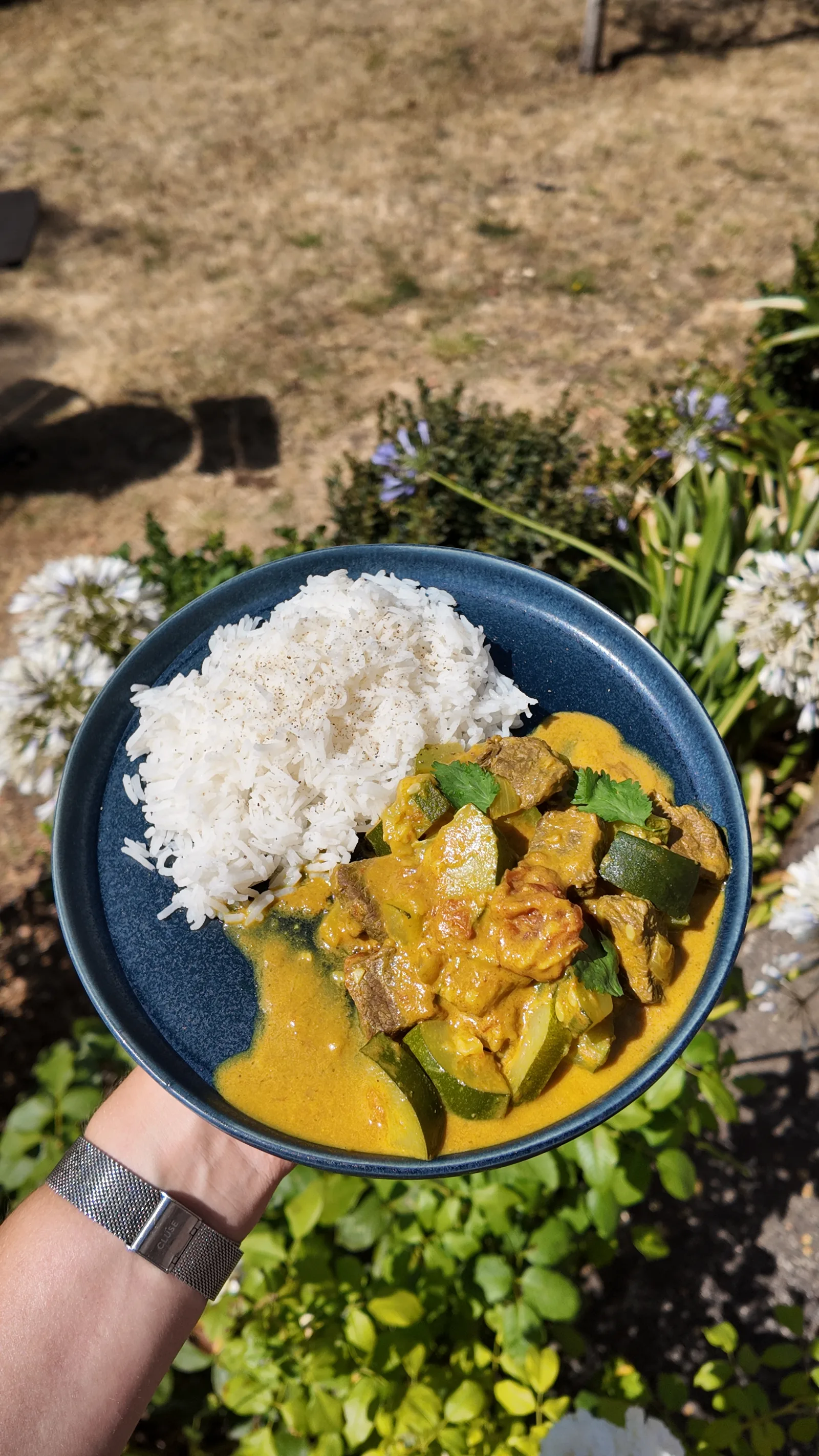 Curry de bœuf