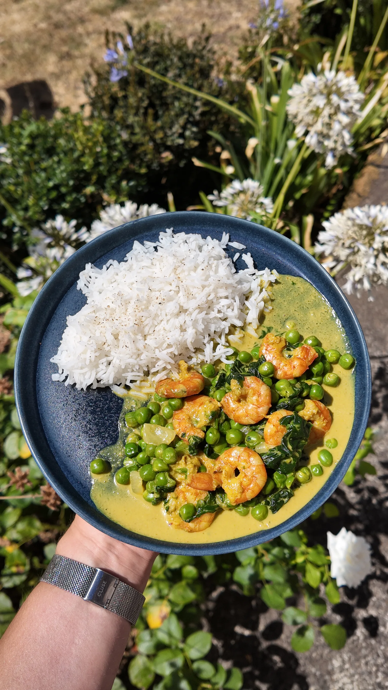 Curry de crevettes