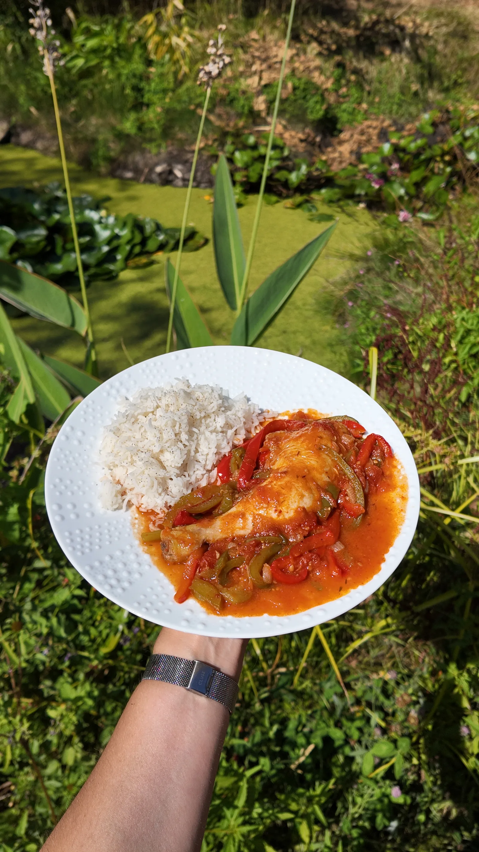 Poulet basquaise